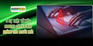 5 Sự Thật Về Việc 888VND Có Lừa Đảo Không Cho Người Mới