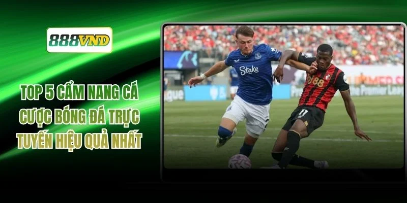 Top 5 Cẩm Nang Cá Cược Bóng Đá Trực Tuyến Hiệu Quả Nhất